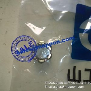 Z200020480 SEM NUT 45 ZL25-2-50