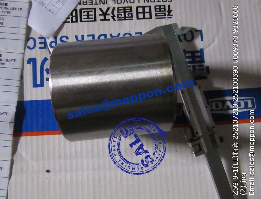 Z5G.8-1(LL) BUSHING 252107218 252100390 U009373 9321668