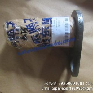 29250001081 Pin L955F L955FC L956 L953