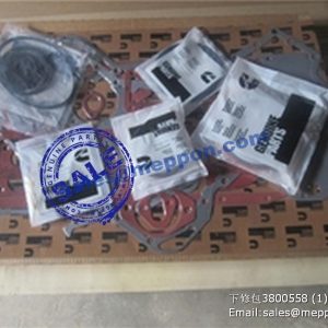 3800558  SET LOWER ENGINE GASKET CUMMINS