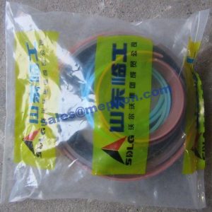 4120000558008 Sealing ring kit BOOM CYLINDER SDLG LG953 LG953N LG953L