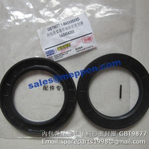 GBT9877.1-B60X85X8D OIL SEAL
