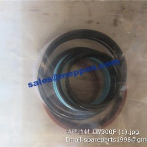 LW300F LIFT CYLINDER REPAIR KITS