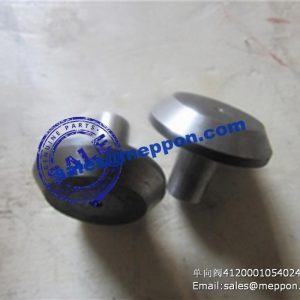 4120001054024 check valve D32-17