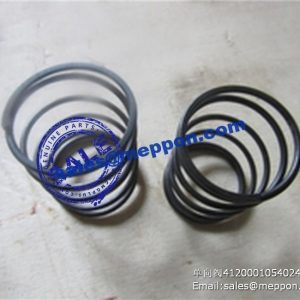 4120001054007 4120001054010  SPRING SDLG