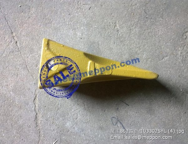 xg962h Tooth 72A0557