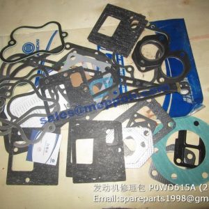 WD615 engine repair kits
