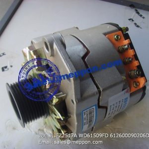WEICHAI ALTERNATOR JFZ2517A WD61509FD 612600090206D