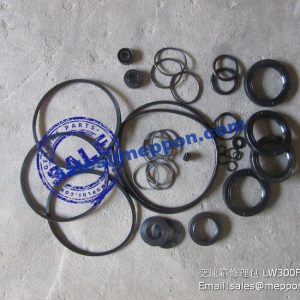 transmission seals bs428 LW300F