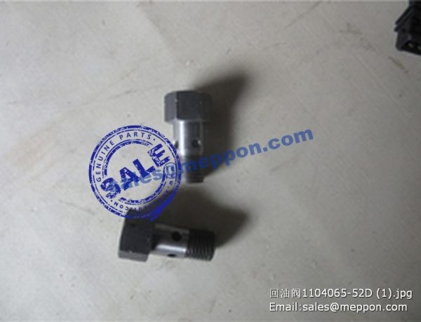 4110000509217 1104065-52D valve