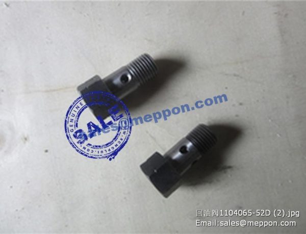 4110000509217 1104065-52D valve - Image 2