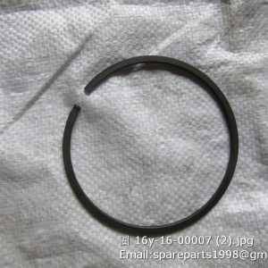 16y-16-00007 SEAL RING