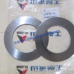 4043000034 SHIM SDLG