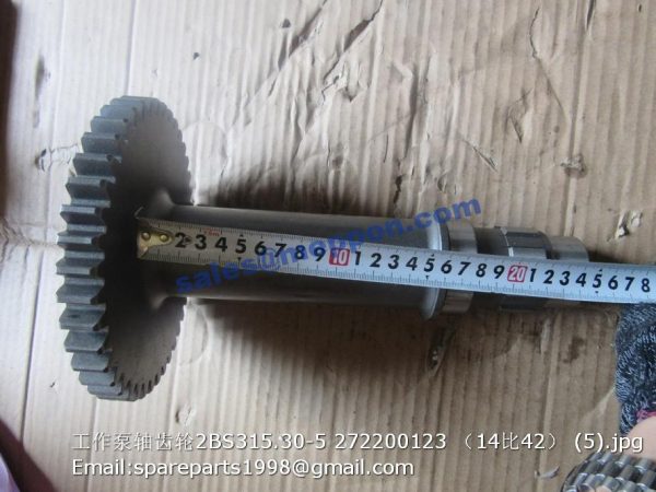 272200123 2BS315.30-5 9355317 shaft gear xcmg