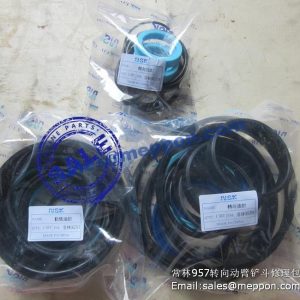 Z50G.14T.1 tilt cylinder kits changlin 957 957h