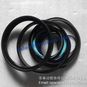 955N Z50E.34F.1 boom cylinder kits changlin