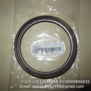 12189888 4110000846035 OIL SEAL WEICHAI