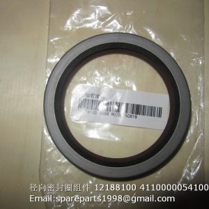 12188100 4110000054100 Front Oil Seal