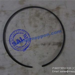 0730 513 181 SNAP RING SP100183 W030601810