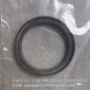 4991305 4110000555153 oil seal
