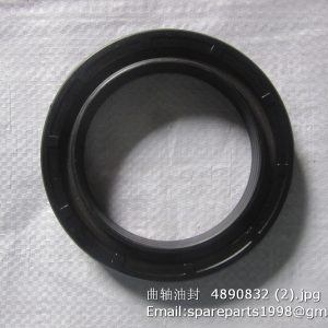 4890832 seal front