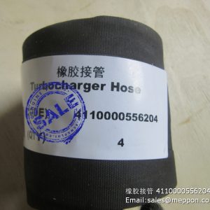 4110000556204 hose