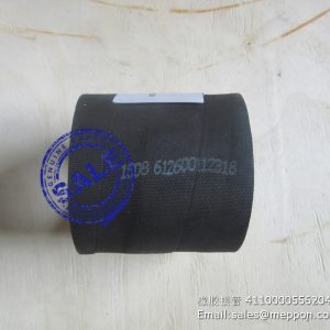 612600112318 HOSE
