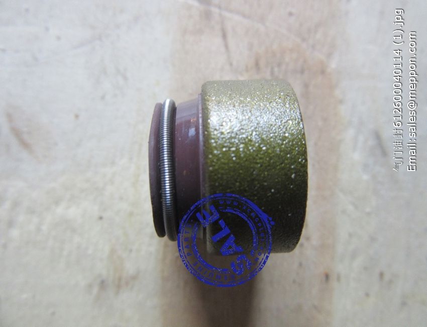 612600040114 VALVE SEAL 4110000556165 SP101879 – Meppon Co., Ltd