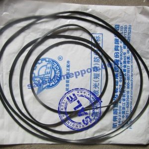 B00508+403006-10 SEAL RING ADVANCE