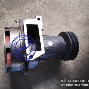 612600060131 weichai water pump