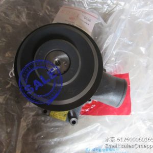 612600060165 water pump