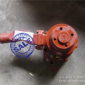 6RTF.510000.LD water pump LR4B3-24