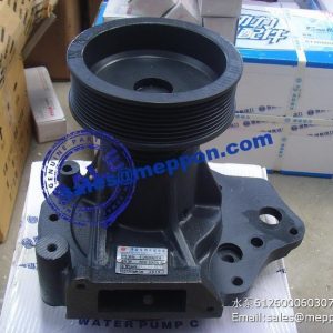 612600060338 weichai water pump