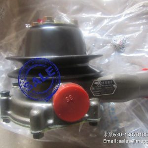 SP105449 SP122700 4110000561142 4110000561313 water pump