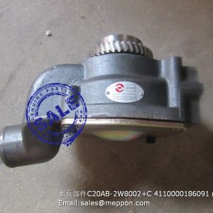 SP101665 W014200141 860112640 water pump
