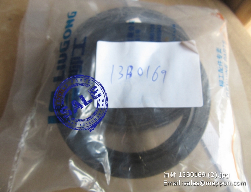 13B0169 oil seal 2907002025065