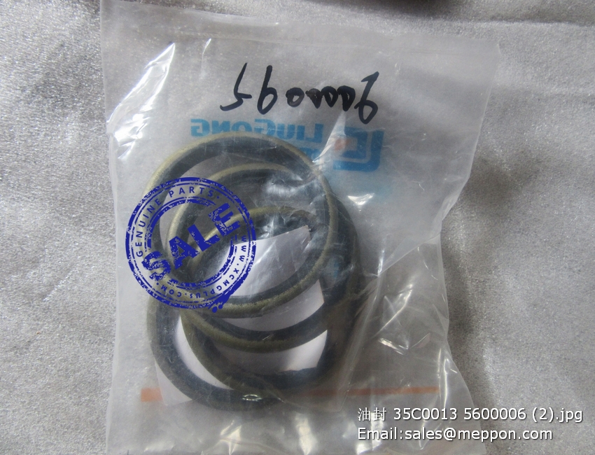 35C0013 5600006 SEAL RING CLG836