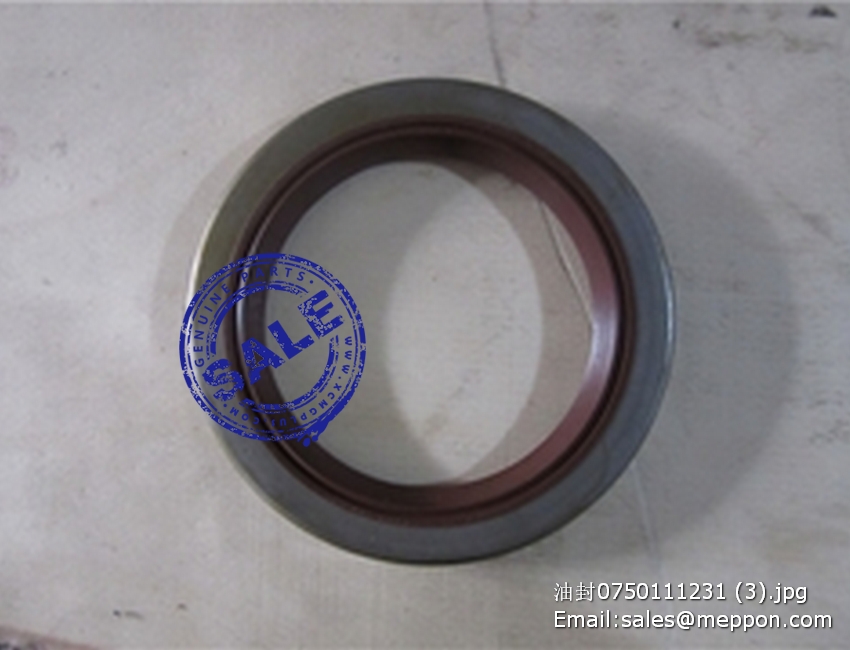 0750111231 OIL SEAL
