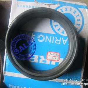 170-27-00010 OIL SEAL