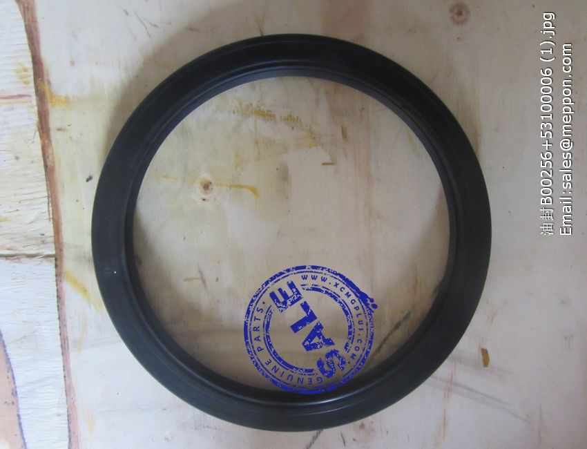 53100006 OIL SEAL 860110665 860107781 W041401481
