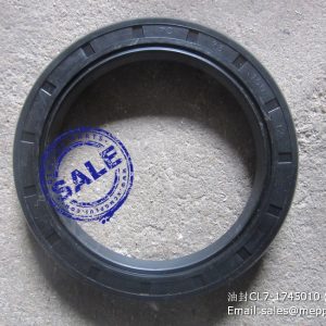 CL7-1745010 OIL SEAL