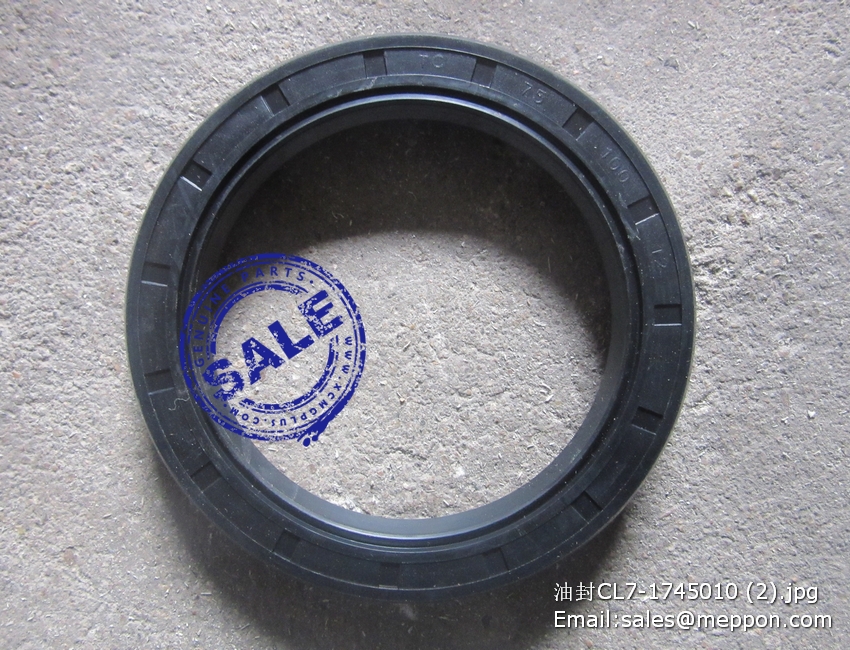 CL7-1745010 OIL SEAL