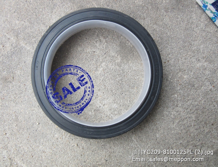 YC209-8100125PL OIL SEAL