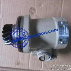 STEERING PUMP WG9719470037