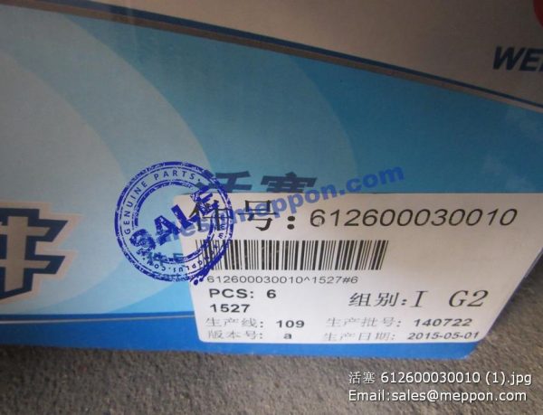 612600030010 WEICHAI PISTON - Image 2