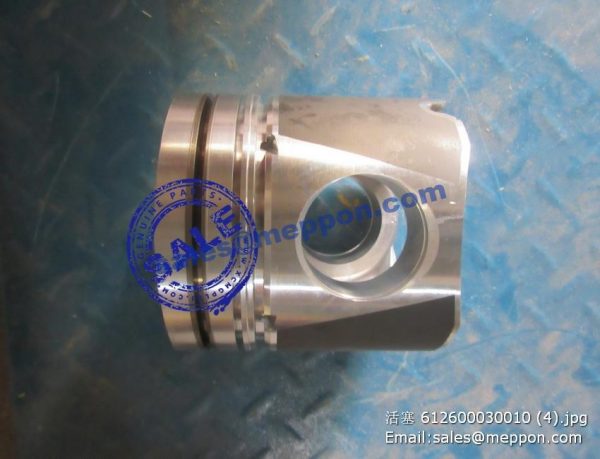 612600030010 WEICHAI PISTON