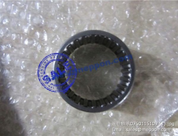 0750115109 NEEDLE CAGE 4110000076264 4110000076104 7200001646 SP100250