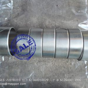 61560010029 612600010990 CAMSHAFT BUSHING