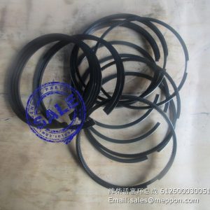 4110000556066 W010505251 SP114255 6156003009 piston ring