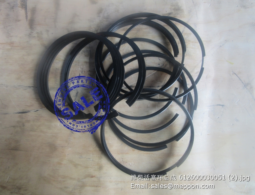 612600030051 PISTON RING